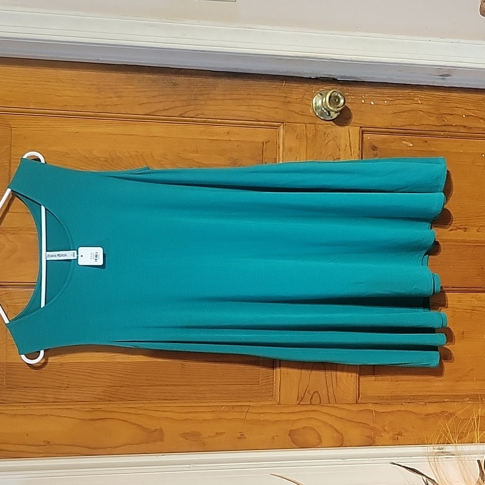 NWT cute women's dress/ shirt size large color green.